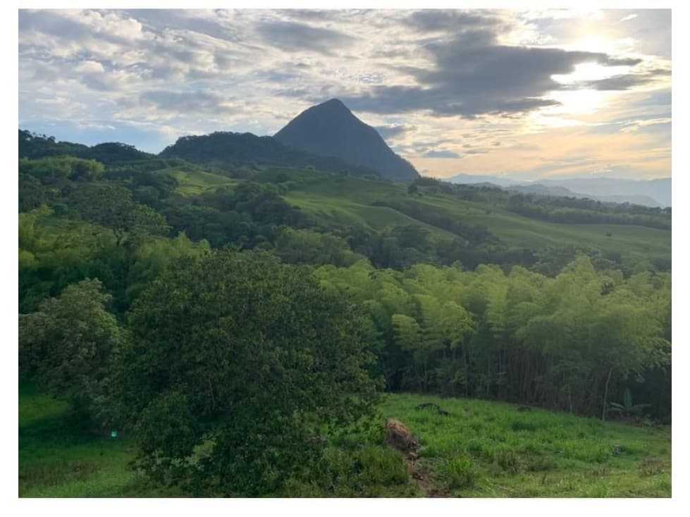 Venta Lote Venecia Suroeste de Antioquia - 1