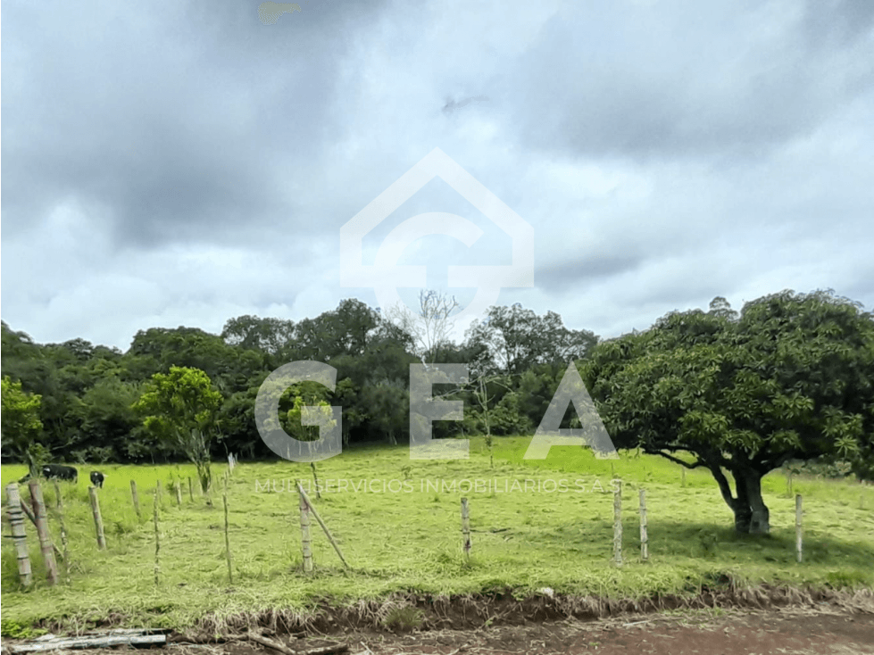 Venta de Lote en Tunia - Piendamó, Vereda San Isidro - 1