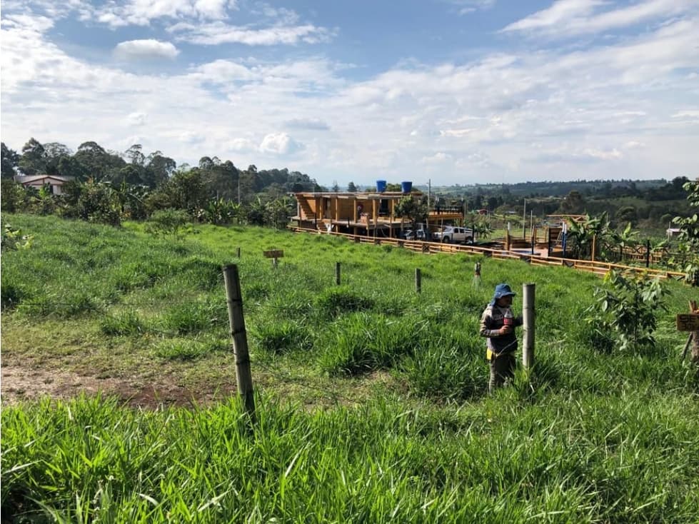 Venta de lote en Cajibío, Villa Patricia - 1