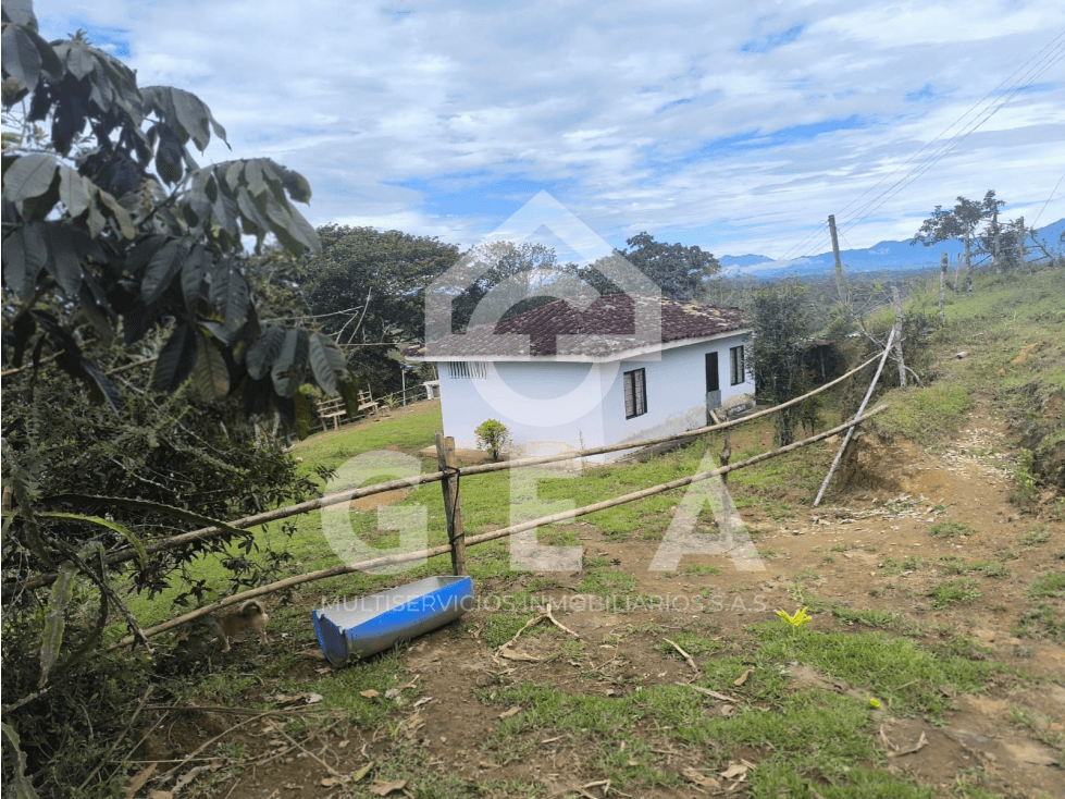 Venta de Finca en Timbío, Vereda el Guayabal - 1