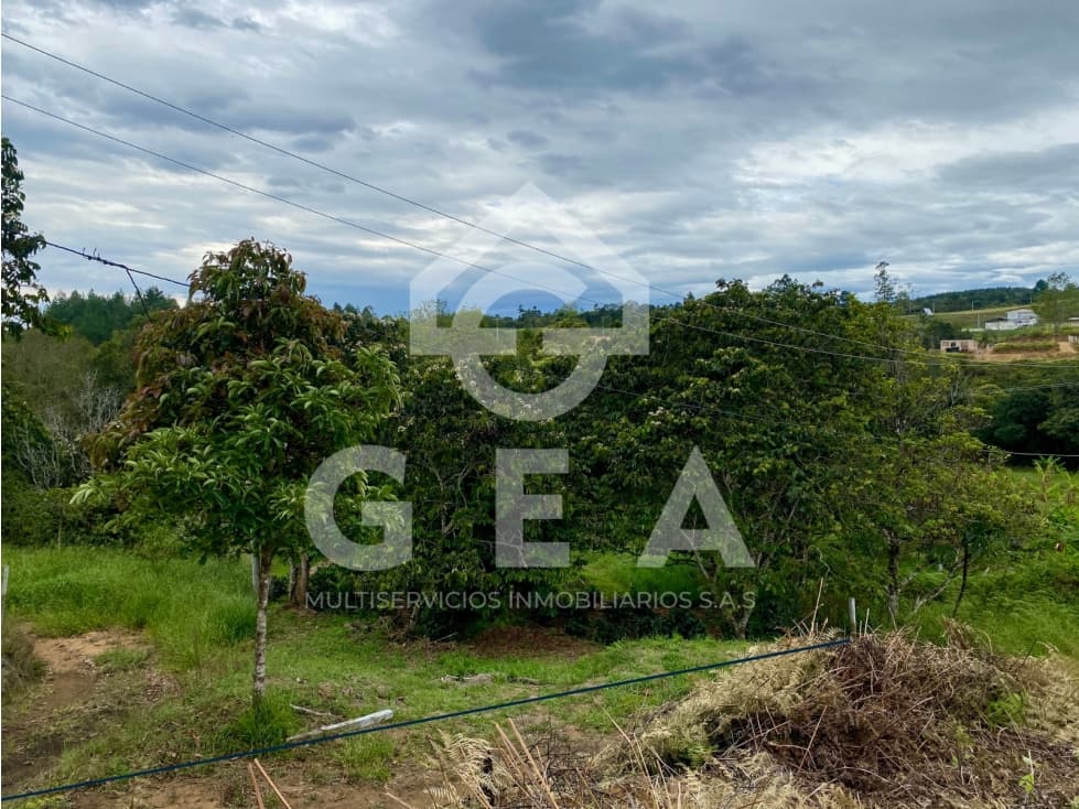 Venta de Lote en Cajibío, Parcelación Villa Isabella, Vereda La Viuda. - 1