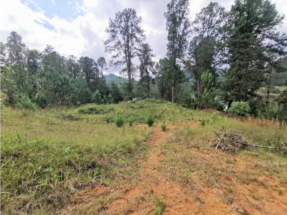 Venta Lote en Parcelación El Retiro - 1