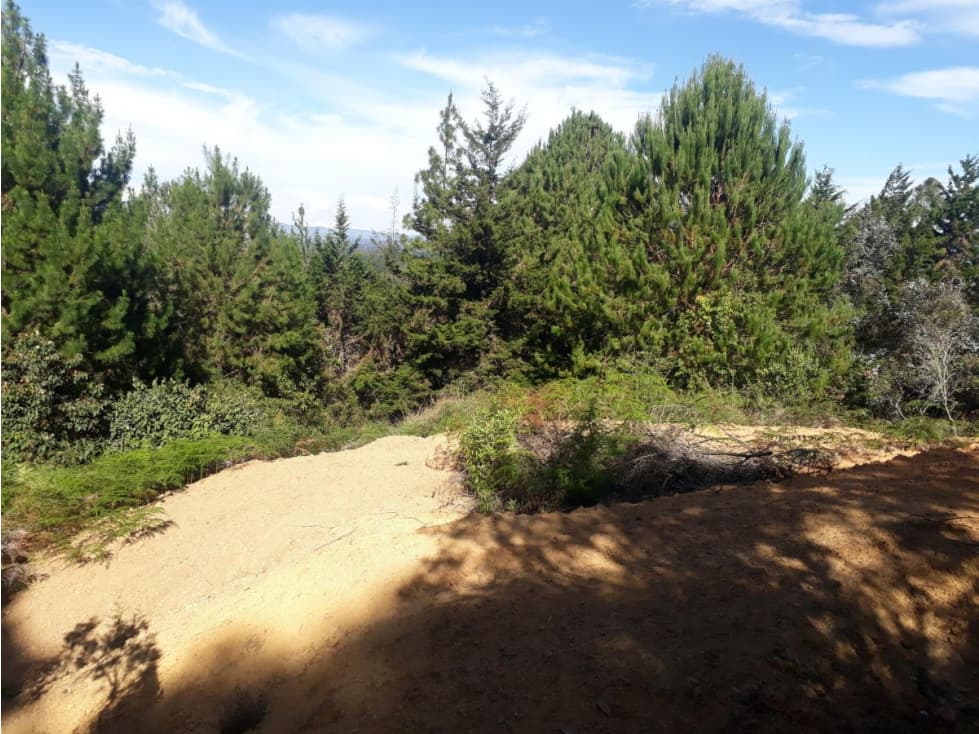 Lote en Rionegro Vereda La Mosquita - 1