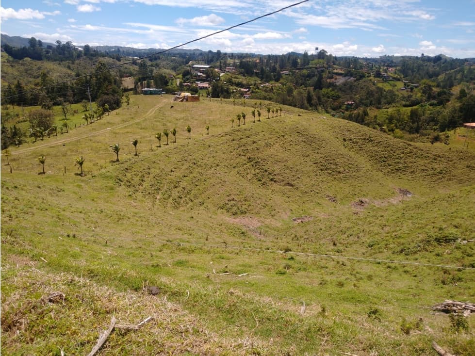 Lote para urbanizar en Rionegro - 1