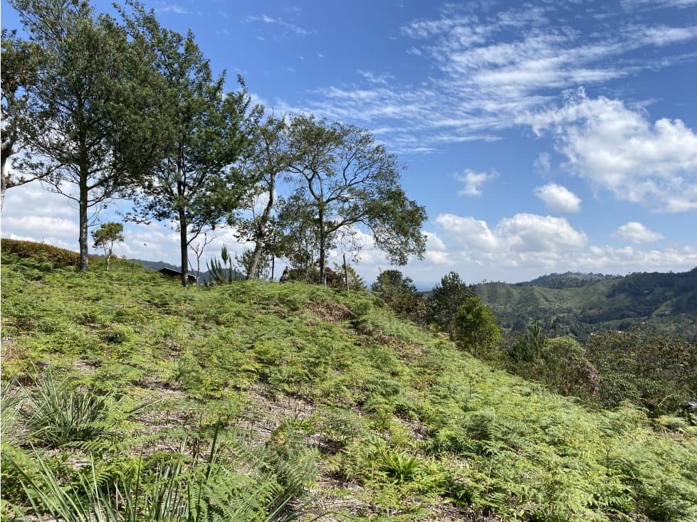 Venta Lote El Retiro - 1