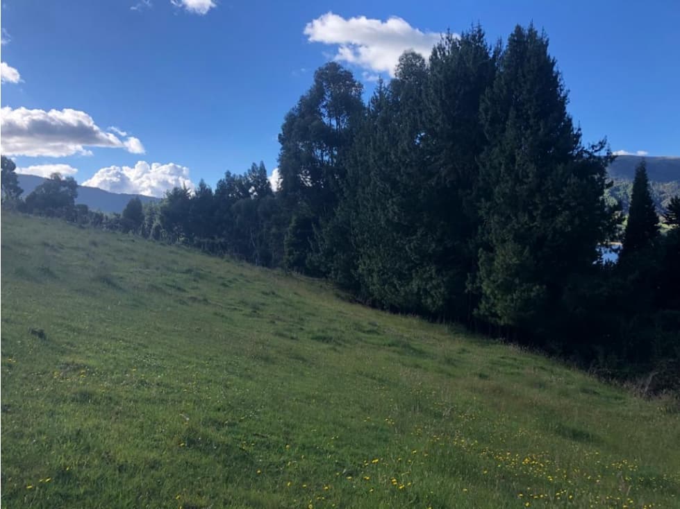 Terreno en Represa del Neusa - 1