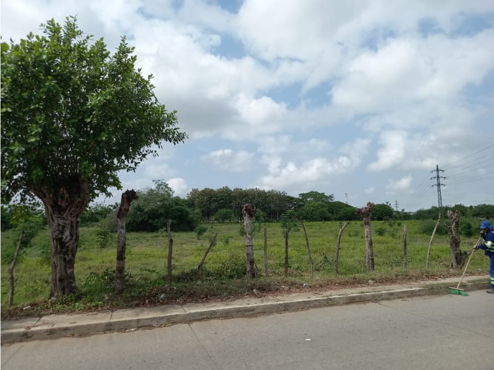 LOTE DISPONIBLE EN VENTA/CERETE CORDOBA - 1
