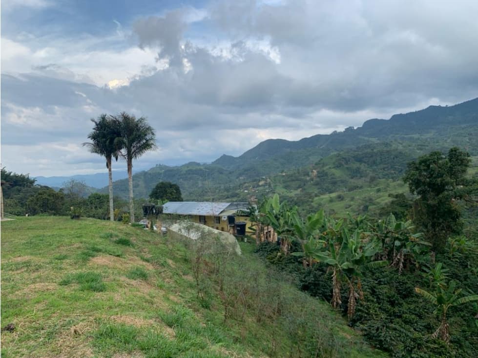 VENDE FINCA PRODUCTIVA EN SASAIMA - 1