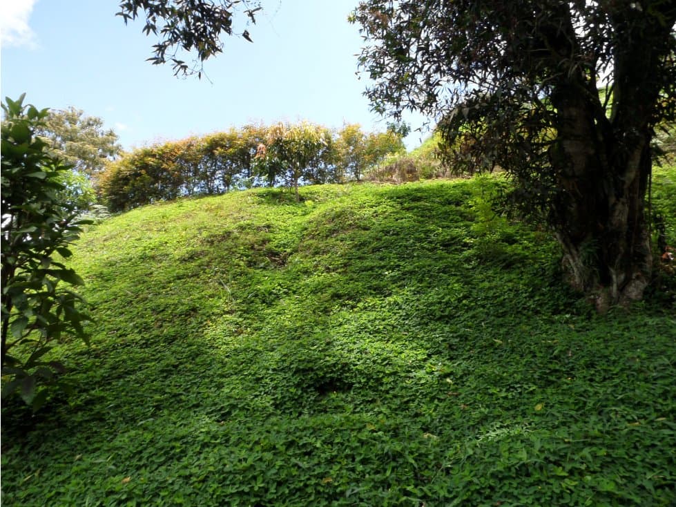 Vendo Lote en La Vega Cund. - 1