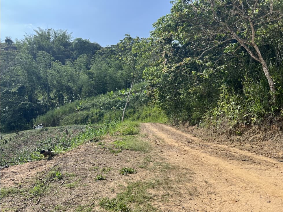 FINCA PRODUCTIVA EN GUADUAS - 1