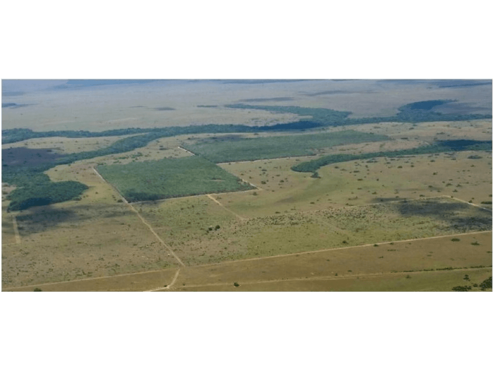 VENTA HACIENDA PRODUCTIVA PUERTO GAITAN - META - 1.472 HECTAREAS - 1