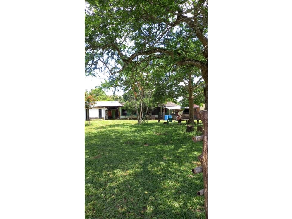 VENTA FINCA ACACIAS VEREDA PATIO BONITO - 200 HECTAREAS - 1