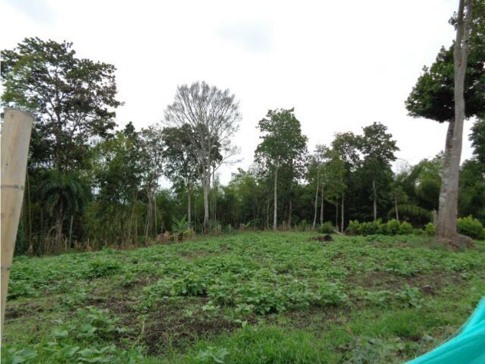 VENTA LOTE TEBAIDA VÍA AL VALLE - 1