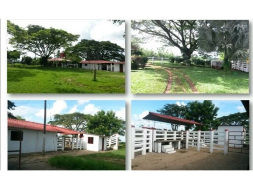 VENTA FINCA PUERTO LOPEZ - 296 HECTAREAS - 1