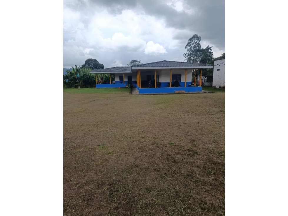 VENTA FINCA SALENTO SECTOR PALESTINA - 22 CUADRAS - 1