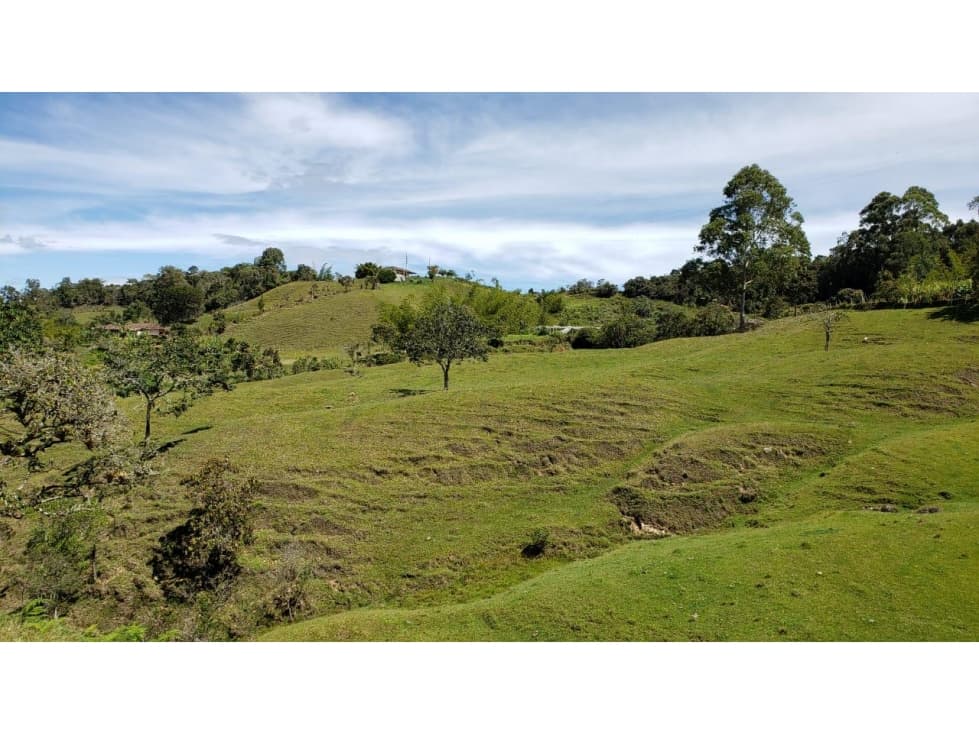 Lote En El Peñol Vereda La Magdalena - 1