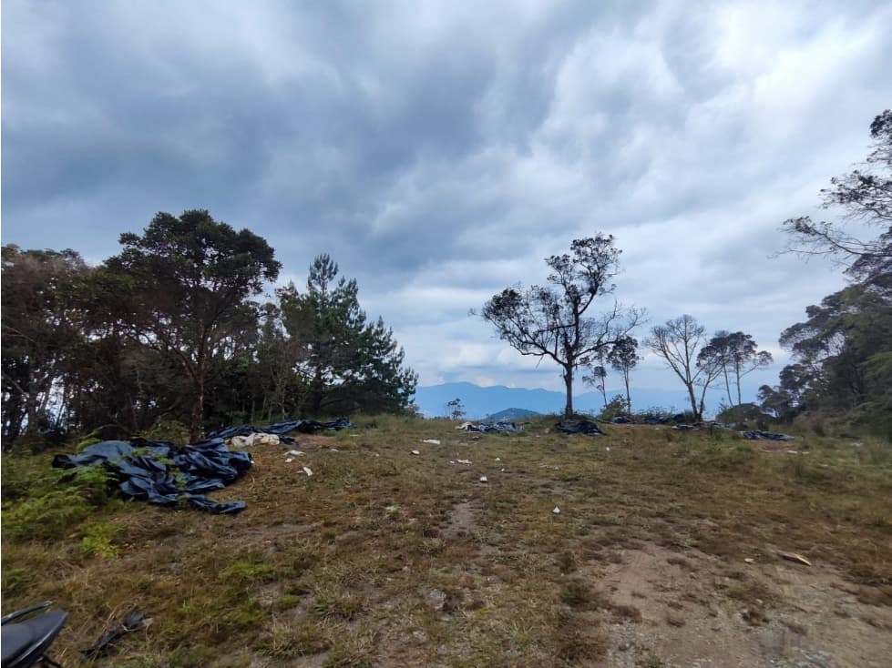 Lote en caldas sector la Miel - 1