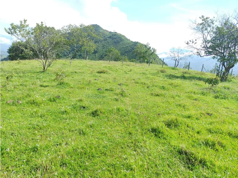LOTE EN VENTA EN SAN JERONIMO, ANTIOQUIA - 1