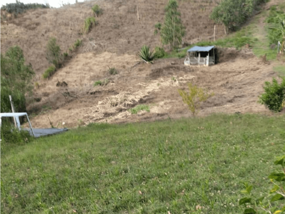 FINCA EN VENTA SAN VICENTE FERRER , ANTIOQUIA - 1