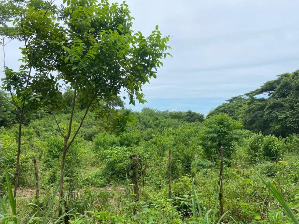 Lote a la venta , Turbaco, Bolívar - 1