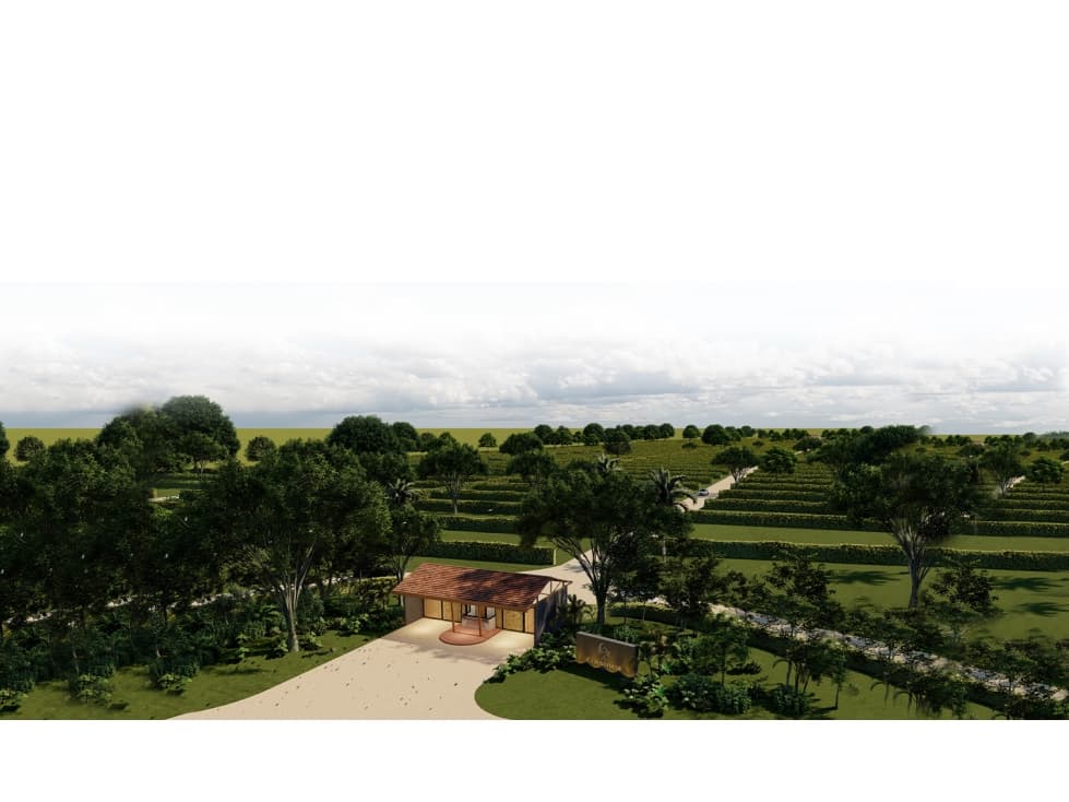 Guahanani Silvestre - 1