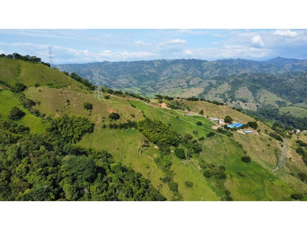 Finca en Venta en Belalcázar, Caldas - Gran Oportunidad de Inversión - 1