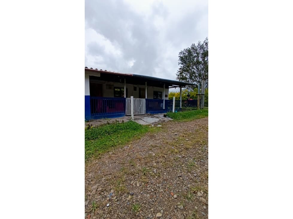 ¡Se vende finca en Alcalá, Valle, vereda Pavas! - 1