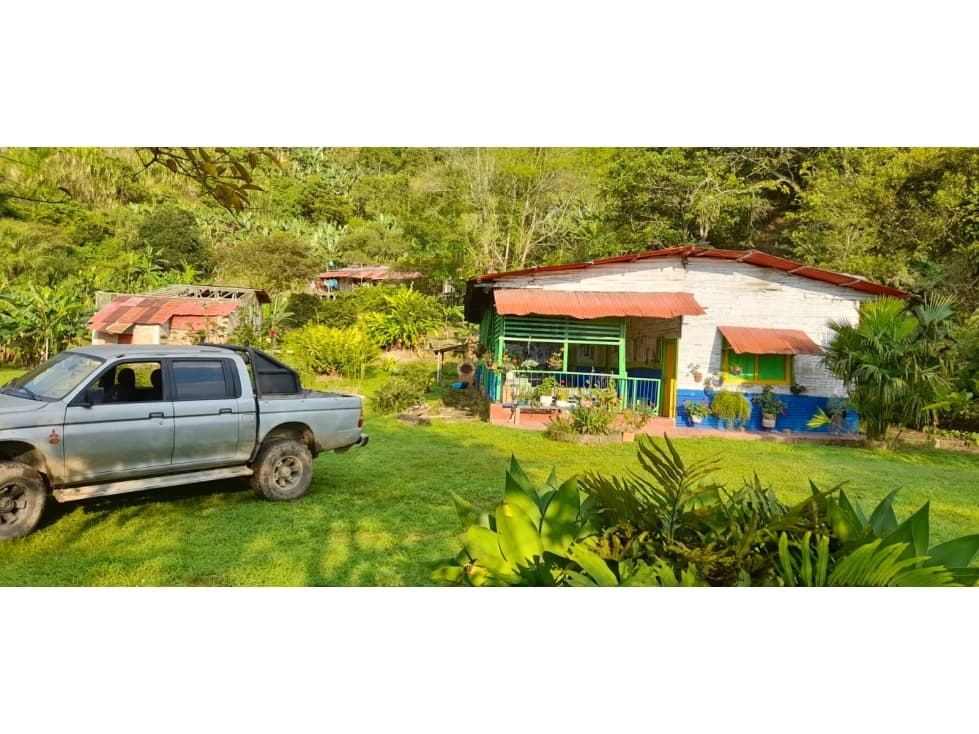 VENDO FINCA CON NACIMIENTO DE AGUA VEREDA LOS TANQUES CALARCÁ QUINDIO - 1