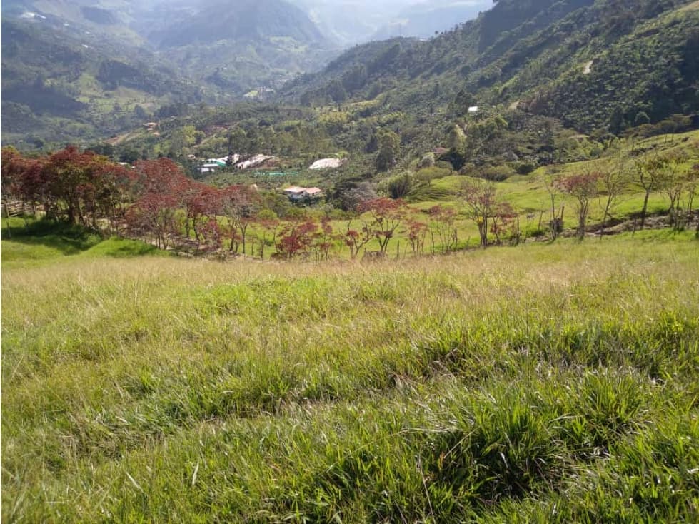 Se vende finca productora en Jardín Antioquia - 1