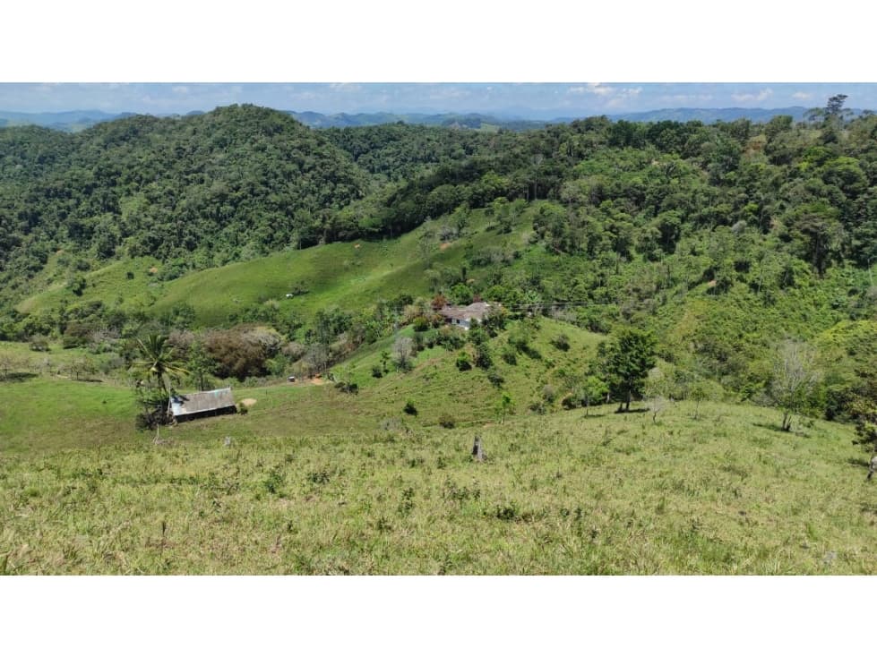 Venta Finca Vereda Santa Cruz Maceo Antioquia. - 1