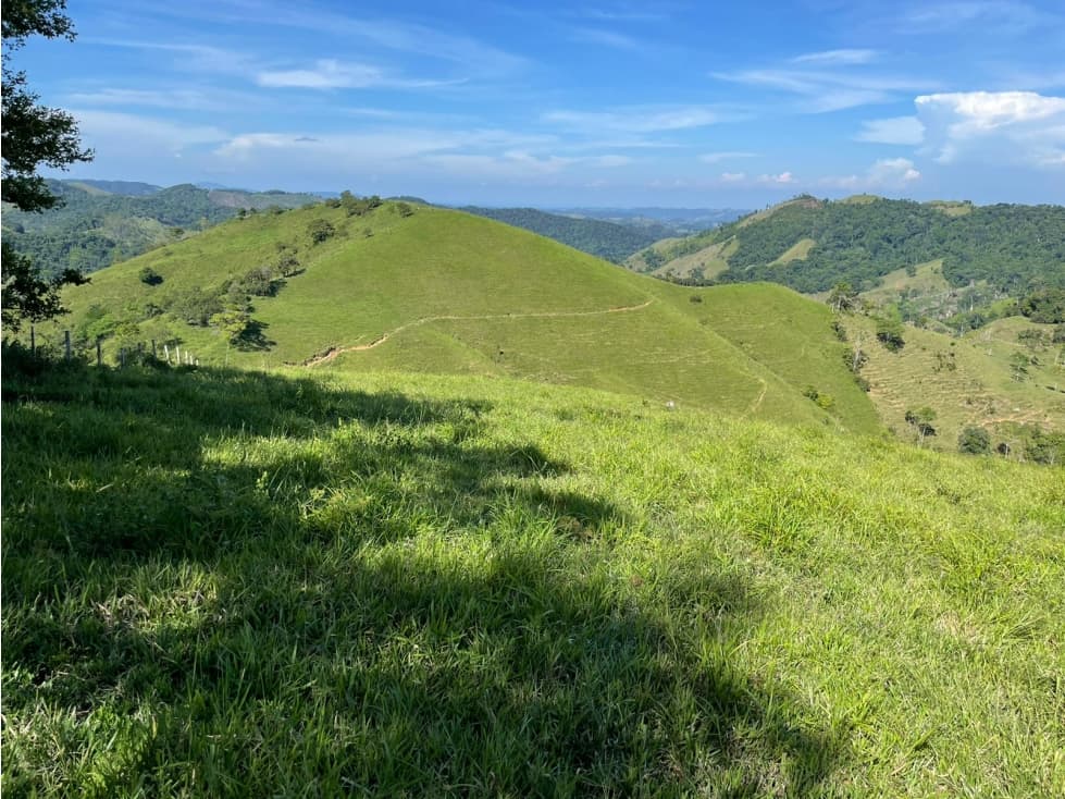 Venta finca Maceo Via a Cemex - 1