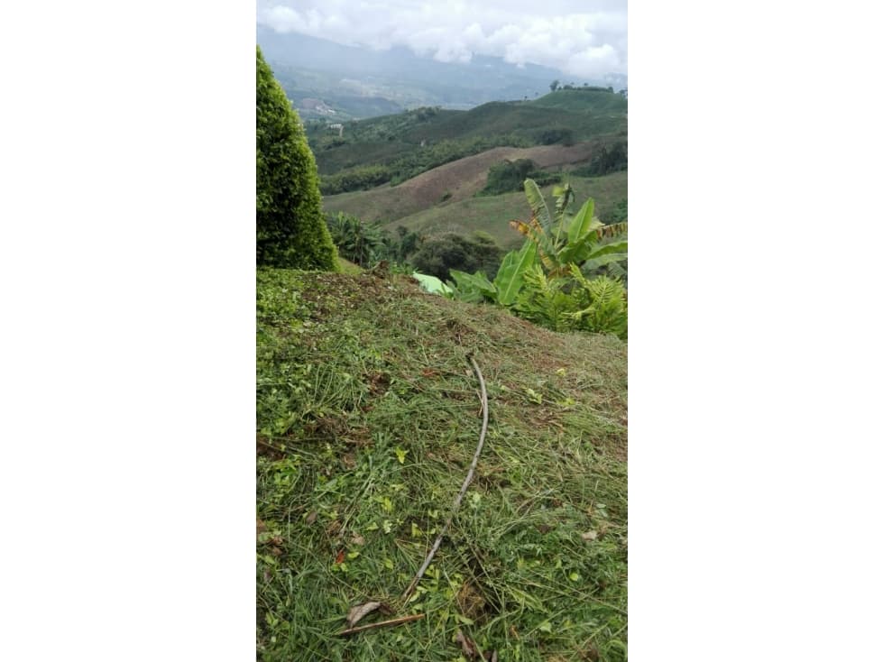 Venta de lote en Palestina - 1