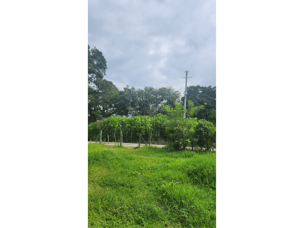 FINCA EN VENTA, CAMILO C, AMAGÁ ANTIOQUIA - 1