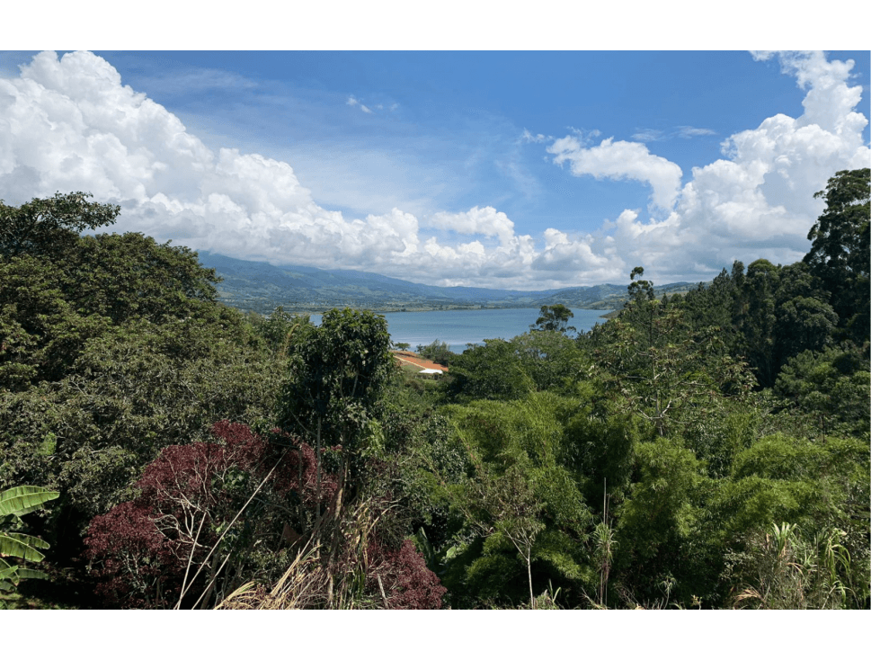 VENTA DE LOTE EN EL LAGO CALIMA - 1