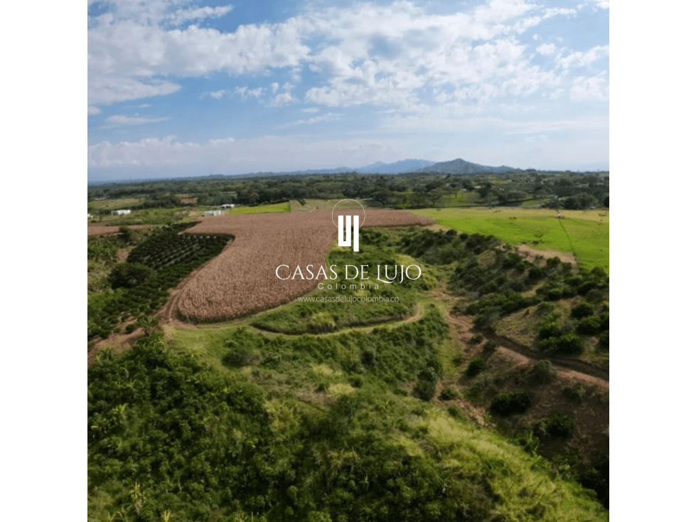 Venta de lote para parcelar en Cerritos - 1