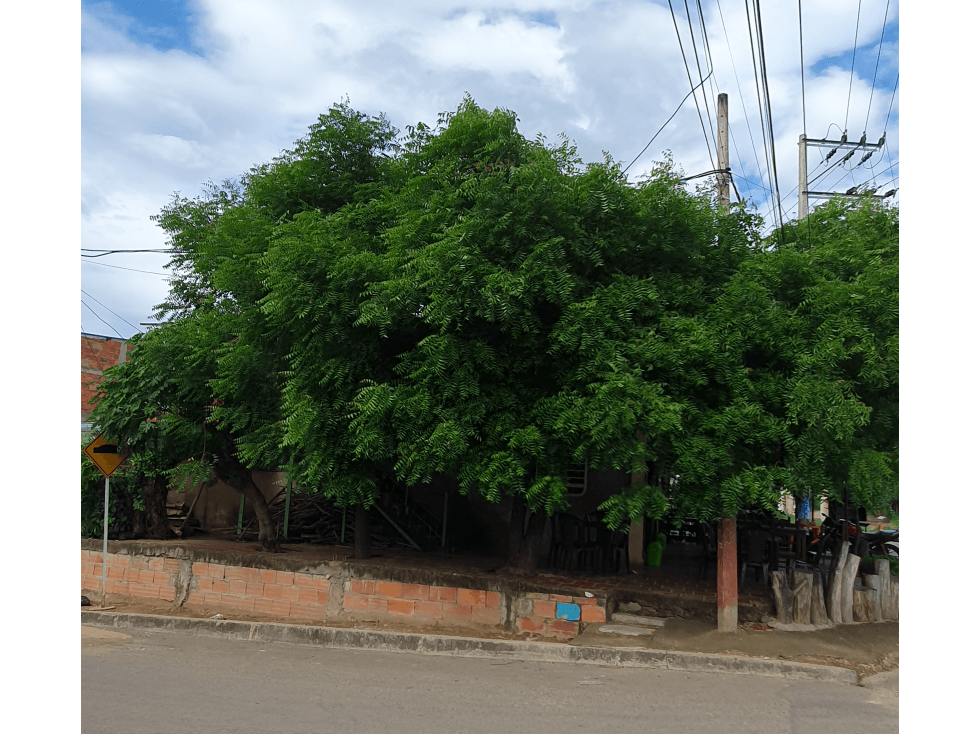 SE VENDE CASA ESQUINERA FRENTE A LA BOMBA DE CHAPARRAL EN PATIOS - 1