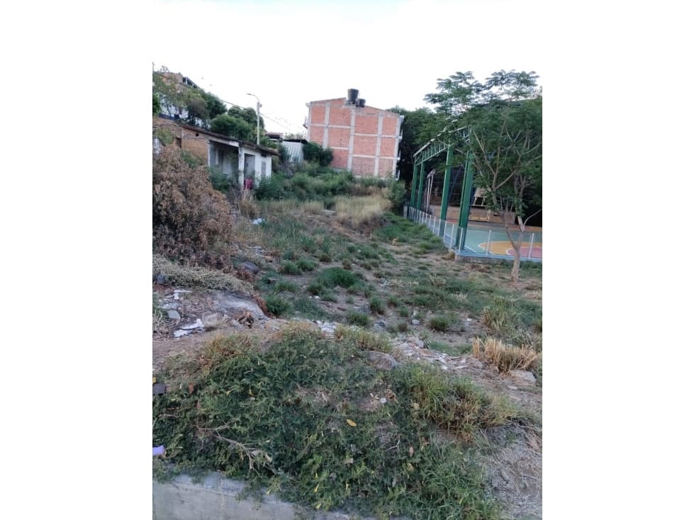 SE ARRIENDAN 3 LOTES EN PIEDECUESTA - 1