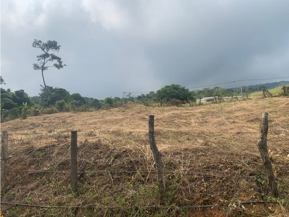 PARA ARRIENDO PRODUCTIVA PARCELA EN VEREDA CALIFORNIA RECTA COROZAL - 1