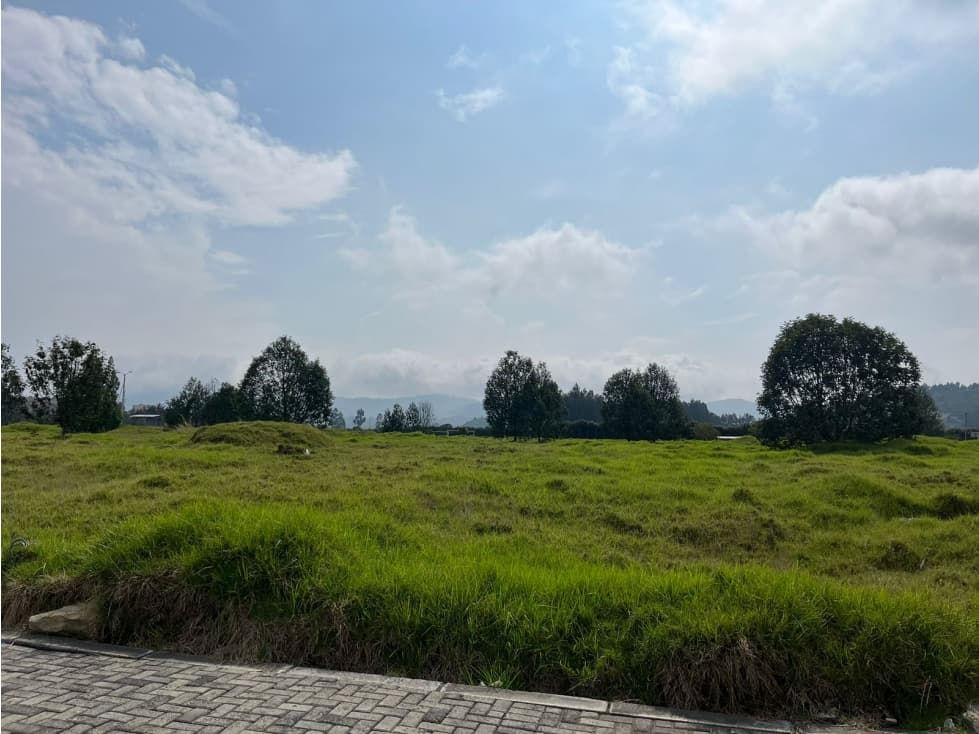 SE VENDE LOTE INDUSTRIAL 12.500 M2 - 1
