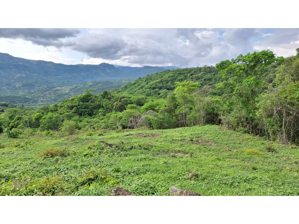 VENTA ANAPOIMA VEREDA FINCA RECREO O PRODUCTIVA P1 - 1