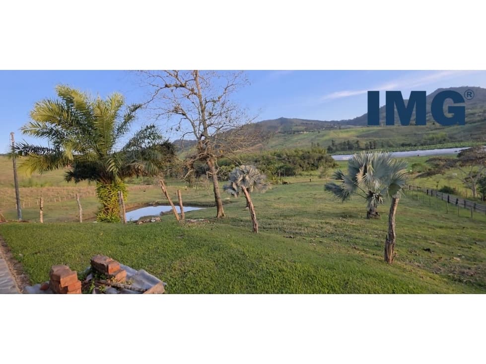 REF 1089A "mirador pavitas 2" - 1