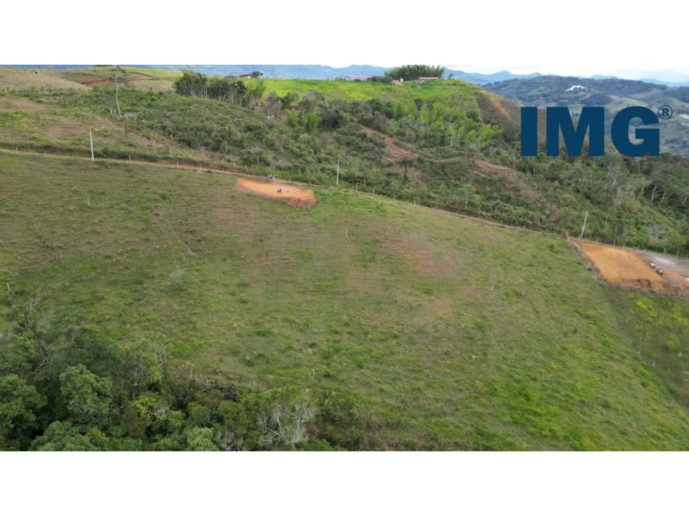 REF 968A LOTE CAMPESTRE P13 - 1