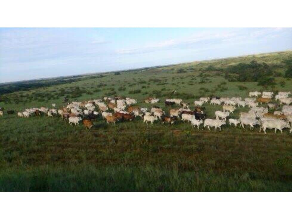 SE VENDE FINCA CERCA PUERTO LOPEZ - 1