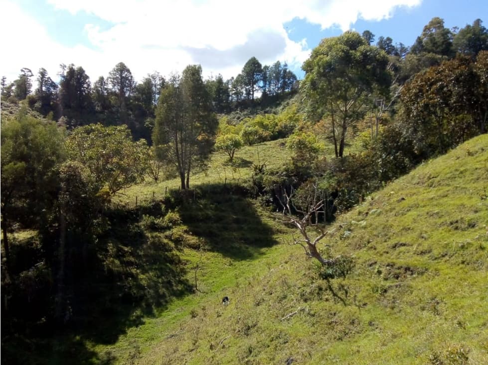 (I) LOTE PARA LA VENTA EN MARINILLA ANTIOQUIA - 1