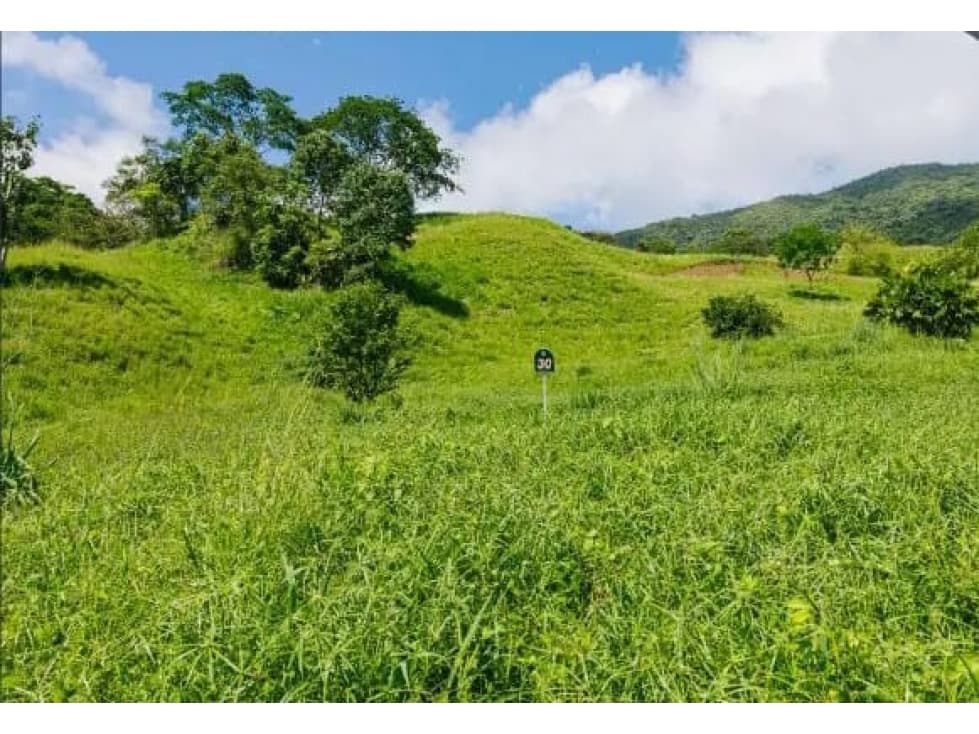 (J) Lote en venta en San Jerónimo cerca al Parque Los Tamarindos - 1