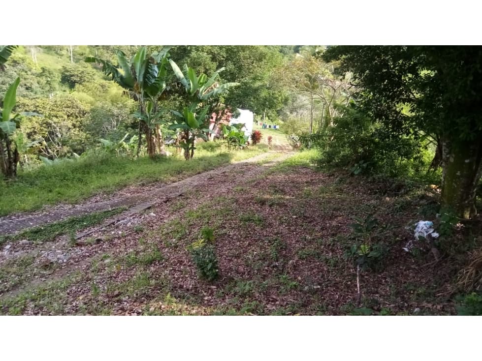 VENTA FINCA - BUENAVISTA - 1