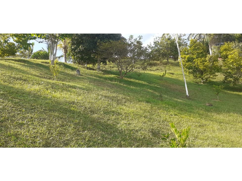 LOTE 14.429 mts. 2 SAN ROQUE ANTIOQUIA - 1