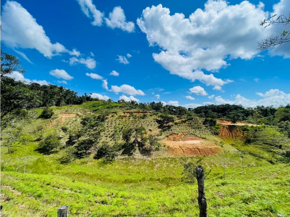 VENTA LOTES SAN ROQUE ANTIOQUIA - 1
