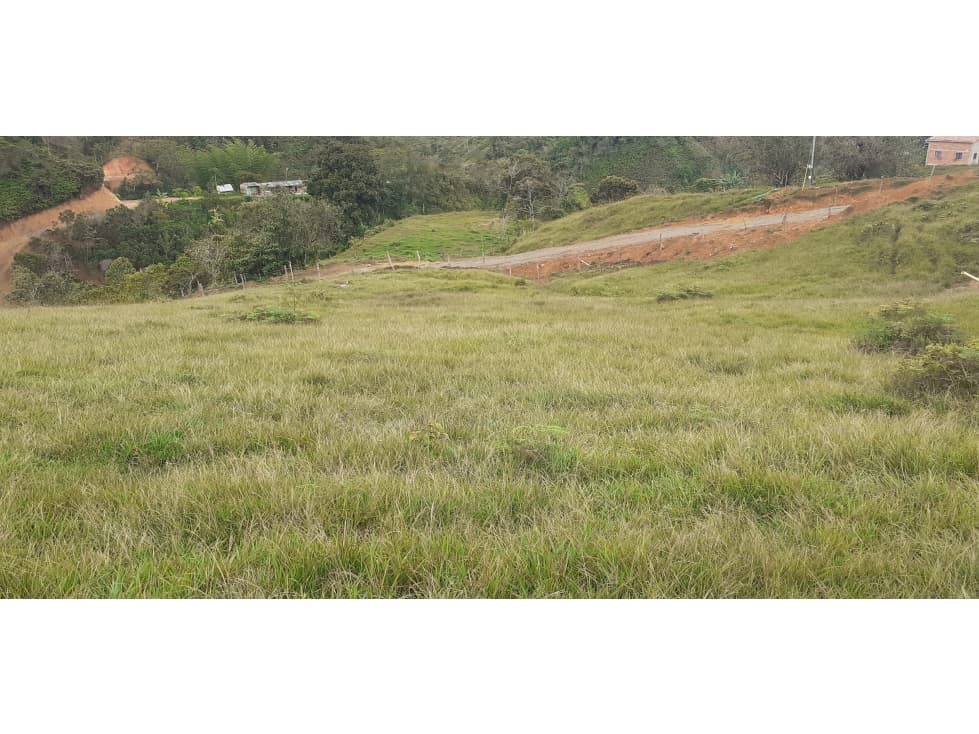 LOTES $25.000 METRO CUADRADO EN SAN ROQUE ANTIOQUIA - 1