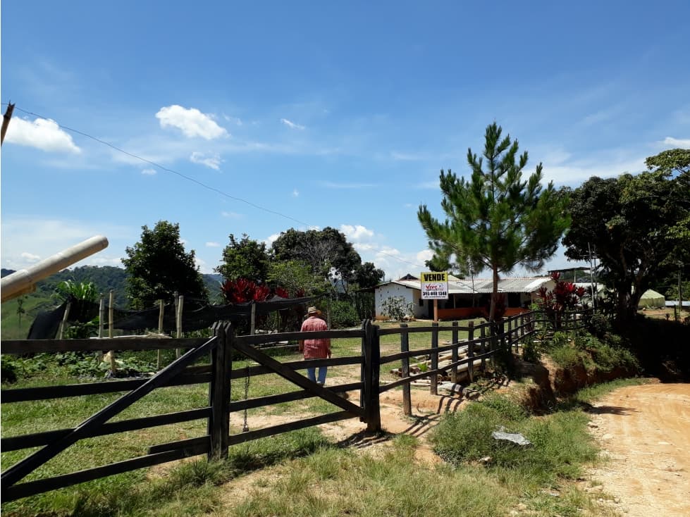 VENTA FINCA DE 35.2 HECTÁREAS EN SAN ROQUE ANTIOQUIA - 1